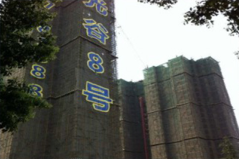 武汉光谷8号